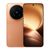 Vivo X500 Pro Max 5G Dual SIM