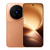 Vivo X500 Pro 5G Dual SIM