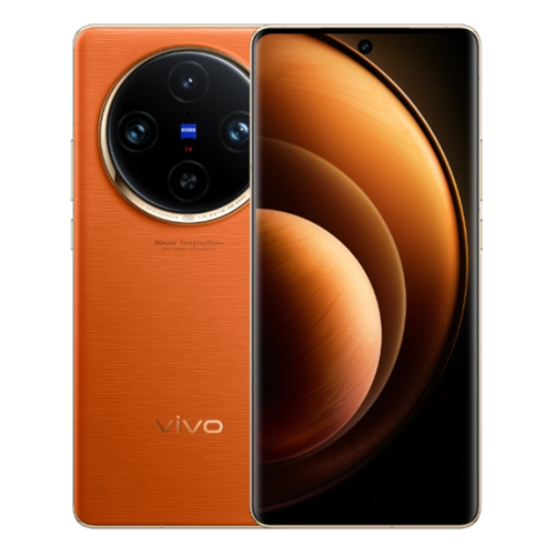 Vivo X100 Pro